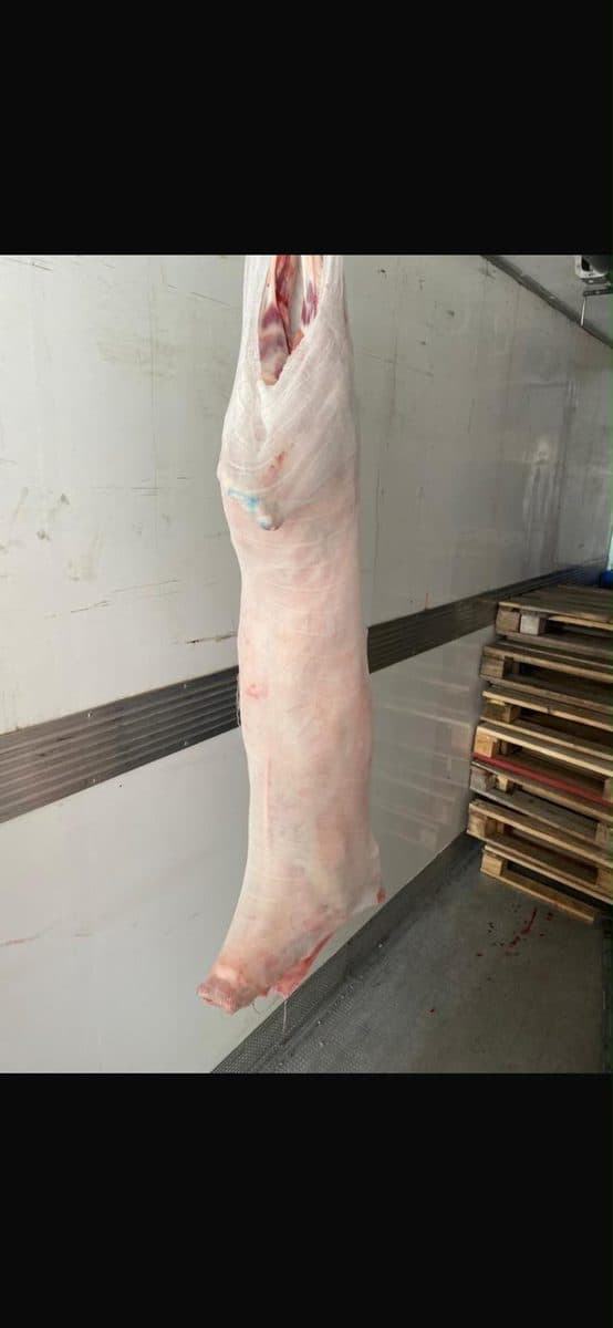 Authentic carcass shrouds protecting meat halves in cold storage