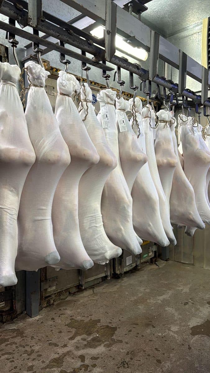 Custom tubular knitted fabrics in rolls and mutton carcass bags