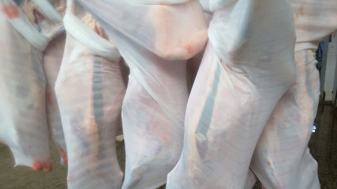Cotton beef carcass bags protecting and preserving meat freshness during transport